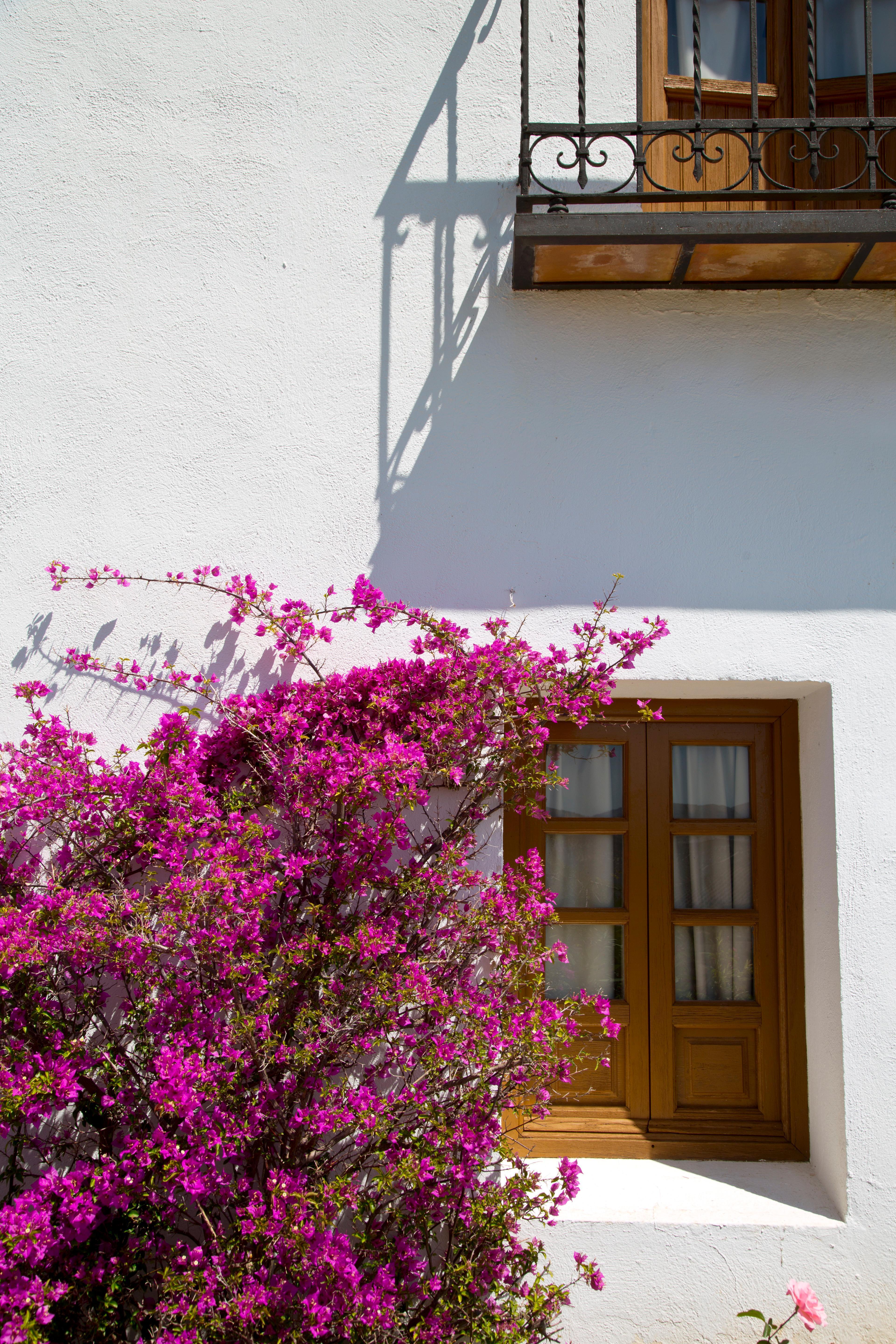 Priego de Córdoba Villa Turistica De Priego מראה חיצוני תמונה